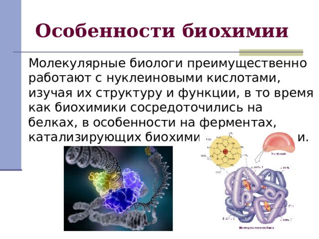 Особенности биохимии 