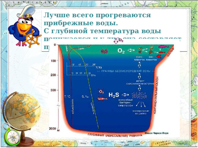 Лучше всего прогреваются прибрежные воды. С глубиной температура воды понижается и у дна она составляет примерно +2°…+3°С 