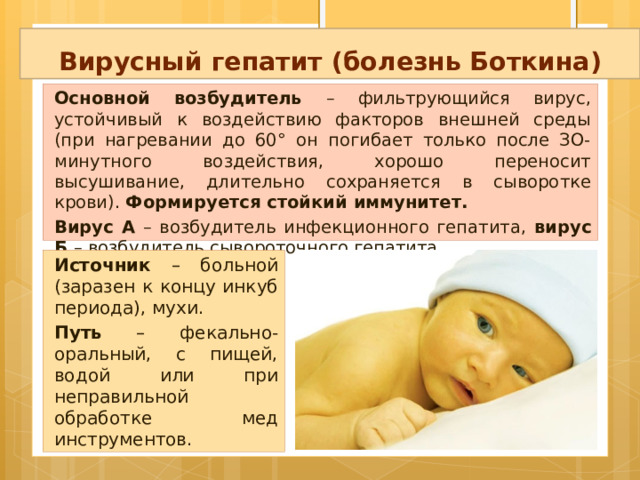 Вирусный гепатит (болезнь Боткина) Основной возбудитель – фильтрующийся вирус, устойчивый к воздействию факторов внешней среды (при нагревании до 60° он погибает только после ЗО-минутного воздействия, хорошо переносит высушивание, длительно сохраняется в сыворотке крови). Формируется стойкий иммунитет. Вирус А – возбудитель инфекционного гепатита, вирус Б – возбудитель сывороточного гепатита. Источник – больной (заразен к концу инкуб периода), мухи. Путь – фекально-оральный, с пищей, водой или при неправильной обработке мед инструментов. 