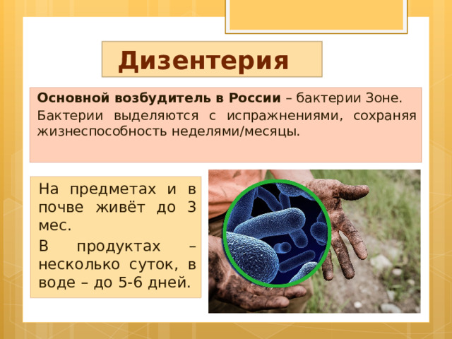 Дизентерия Основной возбудитель в России – бактерии Зоне. Бактерии выделяются с испражнениями, сохраняя жизнеспособность неделями/месяцы. На предметах и в почве живёт до 3 мес. В продуктах – несколько суток, в воде – до 5-6 дней. 