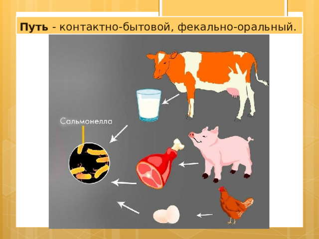 Путь - контактно-бытовой, фекально-оральный. 