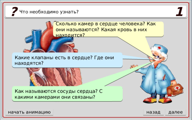 1 ? Что необходимо узнать? Сколько камер в сердце человека? Как они называются? Какая кровь в них находится? Какие клапаны есть в сердце? Где они находятся? Как называются сосуды сердца? С какими камерами они связаны? назад далее начать анимацию  