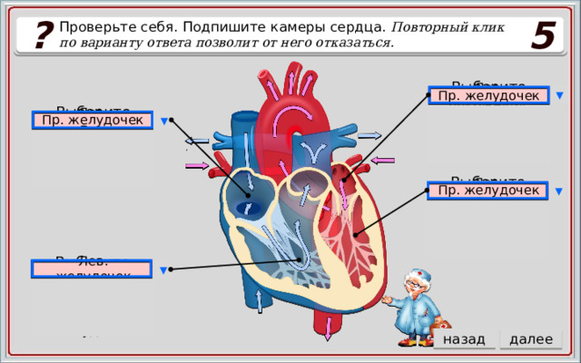 ? 5 Проверьте себя. Подпишите камеры сердца. Повторный клик по варианту ответа позволит от него отказаться. Пр. желудочек Лев. предсердие ▼ Пр. предсердие Выберите ответ Пр. желудочек Лев. предсердие Пр. желудочек Пр. предсердие ▼ Выберите ответ Пр. предсердие Лев. предсердие Лев. предсердие Пр. предсердие Пр. желудочек Пр. желудочек Лев. желудочек Пр. предсердие ▼ Выберите ответ Лев. желудочек Пр. предсердие Пр. желудочек Лев. желудочек Пр. желудочек Пр. предсердие ▼ Выберите ответ Пр. желудочек Пр. предсердие Лев. желудочек назад далее 5 