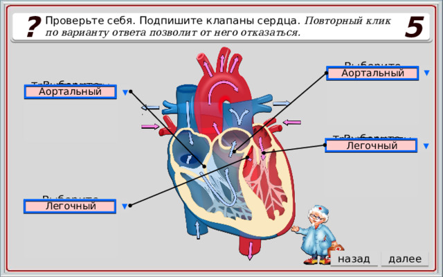 ? 5 Проверьте себя. Подпишите клапаны сердца. Повторный клик по варианту ответа позволит от него отказаться. Аортальный Легочный Митральный ▼ Выберите ответ Аортальный Аортальный Трехстворчатый Митральный ▼ Выберите ответ Митральный Митральный Легочный Трехстворчатый Аортальный Трехстворчатый Митральный ▼ Легочный Выберите ответ Митральный Трехстворчатый Легочный Аортальный Легочный Митральный ▼ Выберите ответ Аортальный Митральный Легочный назад далее 5 