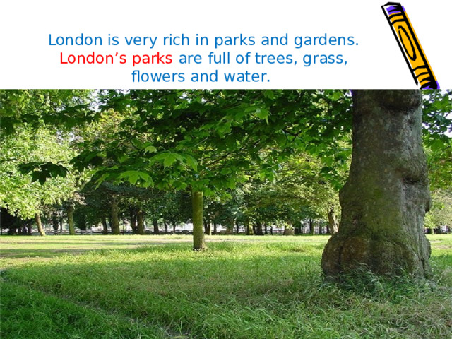 London is very rich in parks and gardens. London’s parks are full of trees, grass, flowers and water. 