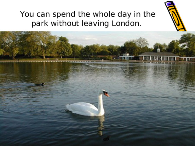 You can spend the whole day in the park without leaving London. 