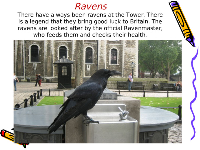 Ravens  There have always been ravens at the Tower. There is a legend that they bring good luck to Britain. The ravens are looked after by the official Ravenmaster, who feeds them and checks their health. 