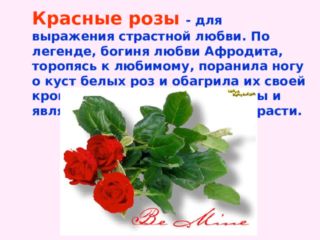 Красные розы  - для выражения страстной любви. По легенде, богиня любви Афродита, торопясь к любимому, поранила ногу о куст белых роз и обагрила их своей кровью. С тех пор красные розы и являются символом любви и страсти. 