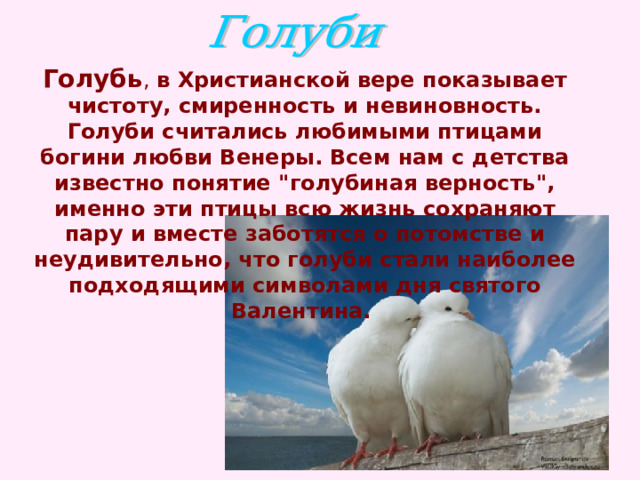 Голубь , в Христианской вере показывает чистоту, смиренность и невиновность. Голуби считались любимыми птицами богини любви Венеры. Всем нам с детства известно понятие 