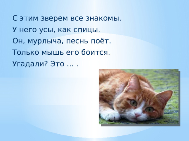 С этим зверем все знакомы.  У него усы, как спицы.  Он, мурлыча, песнь поёт.  Только мышь его боится.  Угадали? Это … . 