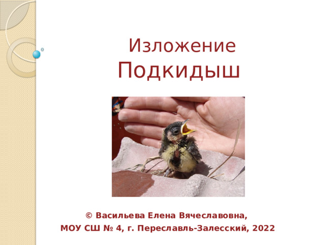 Изложение Подкидыш © Васильева Елена Вячеславовна, МОУ СШ № 4, г. Переславль-Залесский, 2022 