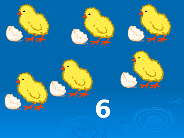 6 