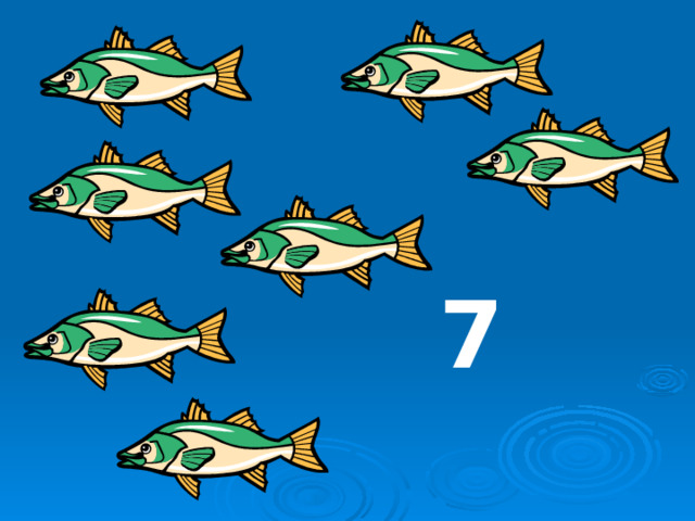 7 