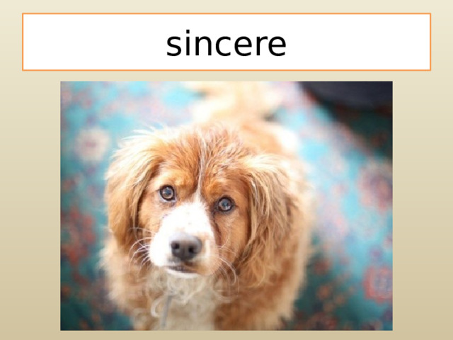 sincere 