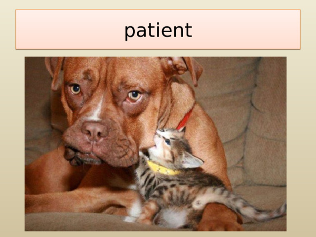 patient 