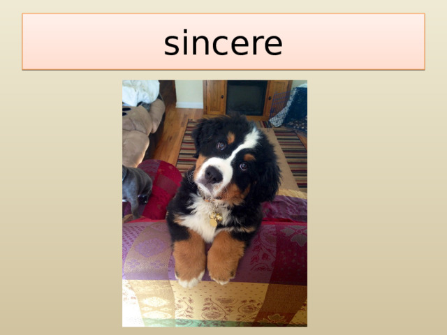 sincere 