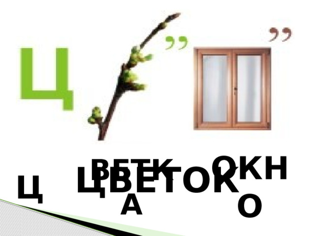 ЦВЕТОК ВЕТКА ОКНО Ц 