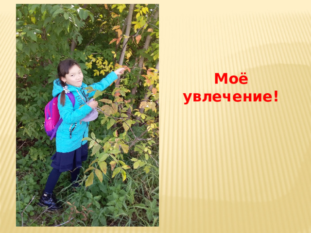 Моё увлечение! 