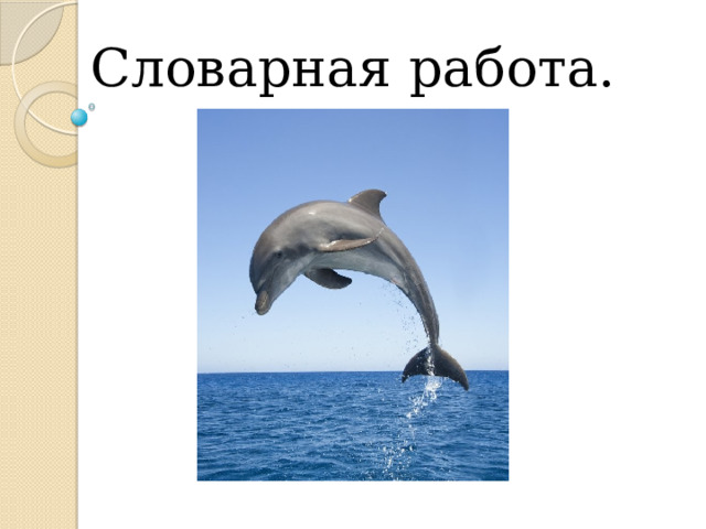 Словарная работа. 