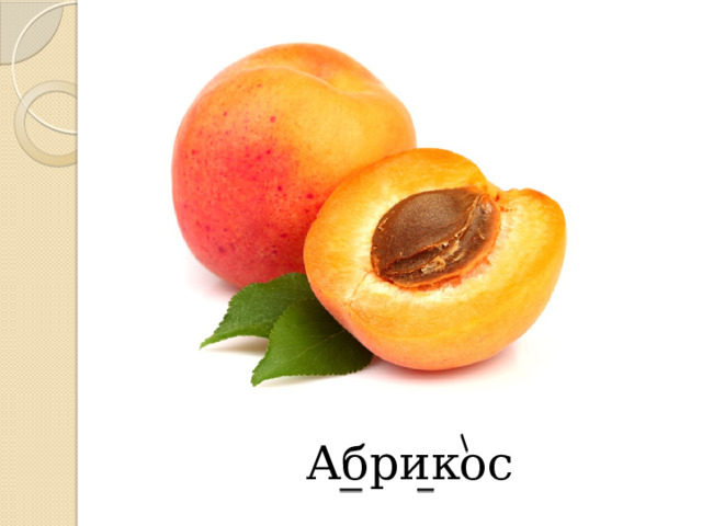 Абрикос 