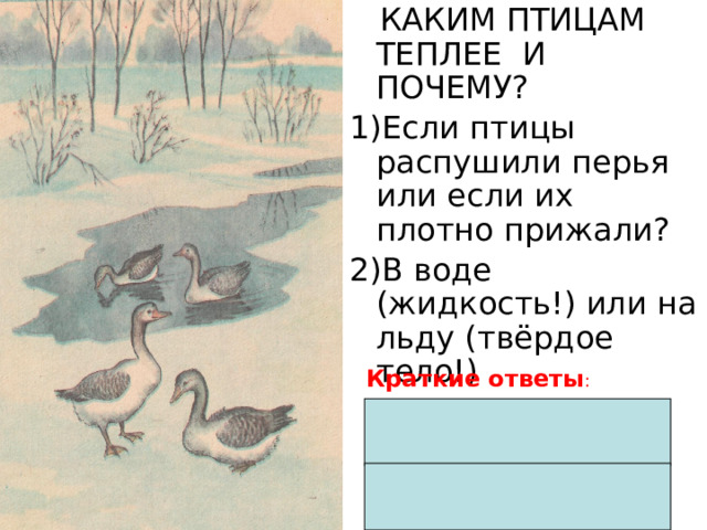  КАКИМ ПТИЦАМ ТЕПЛЕЕ И ПОЧЕМУ? 1)Если птицы распушили перья или если их плотно прижали? 2)В воде (жидкость!) или на льду (твёрдое тело!) Краткие ответы :  воздух (с низкой теплопроводностью) между перьями; теплопроводность льда в 4 раза больше, чем у воды. 