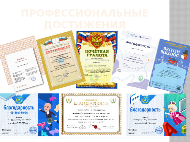 Профессиональные достижения 