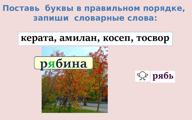 Поставь буквы в правильном порядке, запиши словарные слова: 