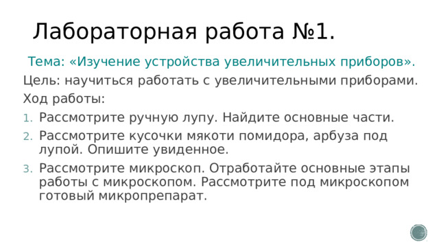 Лабораторная работа №1. Тема: «Изучение устройства увеличительных приборов». Цель: научиться работать с увеличительными приборами. Ход работы: Рассмотрите ручную лупу. Найдите основные части. Рассмотрите кусочки мякоти помидора, арбуза под лупой. Опишите увиденное. Рассмотрите микроскоп. Отработайте основные этапы работы с микроскопом. Рассмотрите под микроскопом готовый микропрепарат. 
