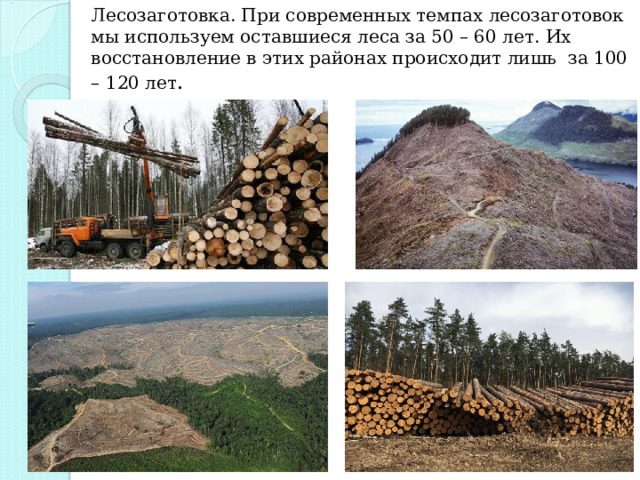 Лесозаготовка. При современных темпах лесозаготовок мы используем оставшиеся леса за 50 – 60 лет. Их восстановление в этих районах происходит лишь за 100 – 120 лет . 