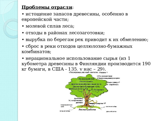 Проблемы отрасли : • истощение запасов древесины, особенно в европейской части; • молевой сплав леса; • отходы в районах лесозаготовки; • вырубка по берегам рек приводит к их обмелению; • сброс в реки отходов целлюлозно-бумажных комбинатов; • нерациональное использование сырья (из 1 кубометра древесины в Финляндии производится 190 кг бумаги, в США - 135, у нас – 29). 