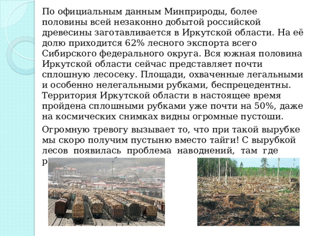 По официальным данным Минприроды, более половины всей незаконно добытой российской древесины заготавливается в Иркутской области. На её долю приходится 62% лесного экспорта всего Сибирского федерального округа. Вся южная половина Иркутской области сейчас представляет почти сплошную лесосеку. Площади, охваченные легальными и особенно нелегальными рубками, беспрецедентны. Территория Иркутской области в настоящее время пройдена сплошными рубками уже почти на 50%, даже на космических снимках видны огромные пустоши. Огромную тревогу вызывает то, что при такой вырубке мы скоро получим пустыню вместо тайги! С вырубкой лесов появилась проблема наводнений, там где раньше их не было. 