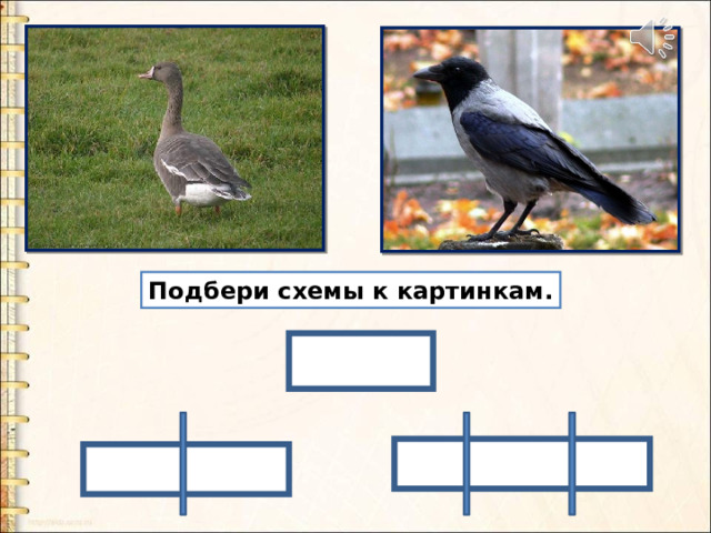 Подбери схемы к картинкам. 