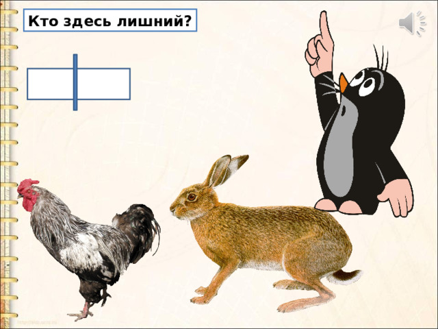 Кто здесь лишний? 