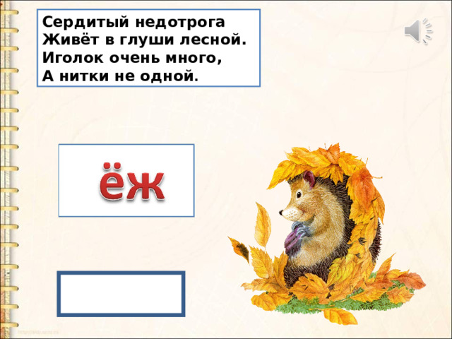 Сердитый недотрога  Живёт в глуши лесной.  Иголок очень много,  А нитки не одной . 