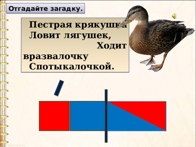 Отгадайте загадку.  Пестрая крякушка  Ловит лягушек,  Ходит вразвалочку  Спотыкалочкой. 