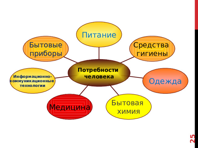 25 Питание Средства гигиены Бытовые приборы Потребности человека Информационно- коммуникационные технологии Одежда Бытовая химия Медицина 