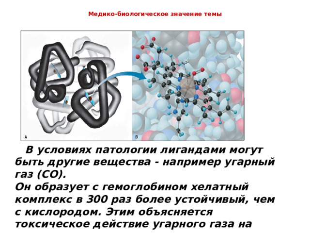  Медико-биологическое значение темы    В условиях патологии лигандами могут быть другие вещества - например угарный газ ( CO ). Он образует с гемоглобином хелатный комплекс в 300 раз более устойчивый, чем с кислородом. Этим объясняется токсическое действие угарного газа на организм. 