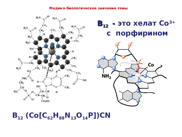  Медико-биологическое значение темы   B 12  - это хелат Co 3+  c порфирином B 12 (Co[C 62 H 88 N 13 O 14 P])CN 