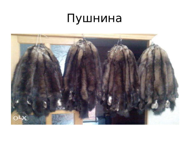 Пушнина 