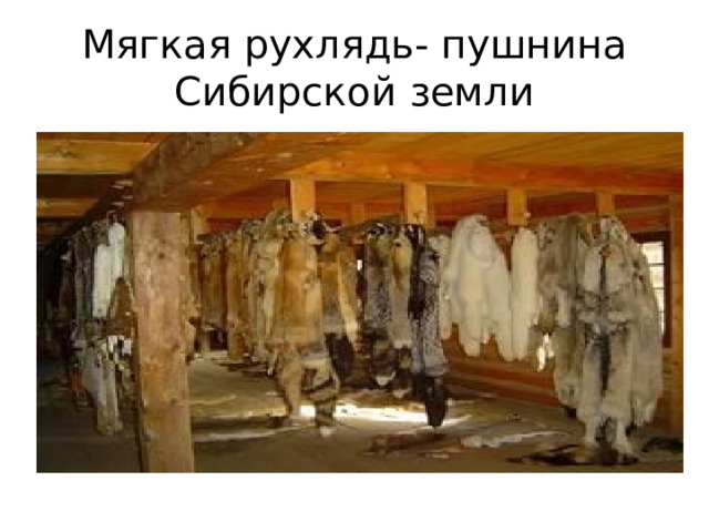 Мягкая рухлядь- пушнина Сибирской земли 