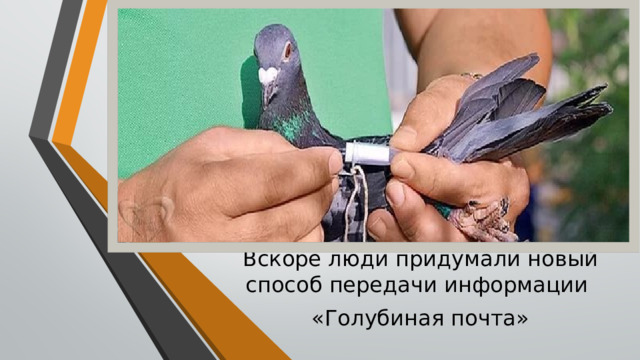 Вскоре люди придумали новый способ передачи информации «Голубиная почта» 