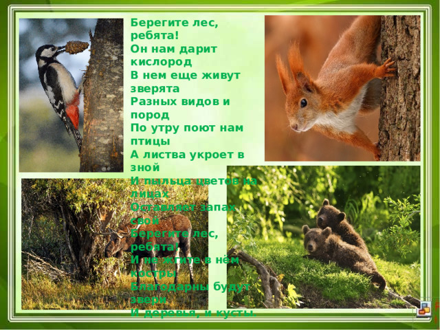 Берегите лес, ребята!  Он нам дарит кислород  В нем еще живут зверята  Разных видов и пород  По утру поют нам птицы  А листва укроет в зной  И пыльца цветов на лицах  Оставляет запах свой  Берегите лес, ребята!  И не жгите в нём костры  Благодарны будут звери  И деревья, и кусты. 