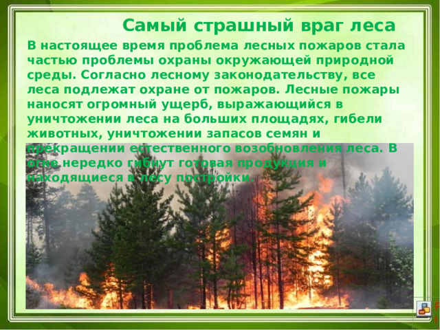  Самый страшный враг леса  В настоящее время проблема лесных пожаров стала частью проблемы охраны окружающей природной среды. Согласно лесному законодательству, все леса подлежат охране от пожаров. Лесные пожары наносят огромный ущерб, выражающийся в уничтожении леса на больших площадях, гибели животных, уничтожении запасов семян и прекращении естественного возобновления леса. В огне нередко гибнут готовая продукция и находящиеся в лесу постройки. 
