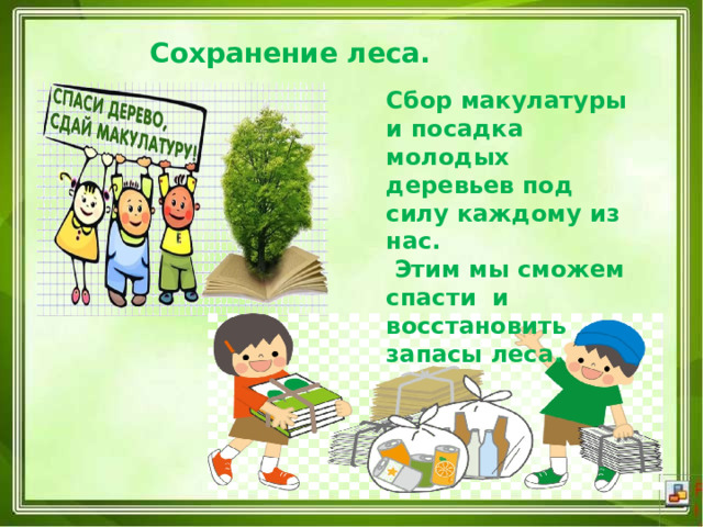  Сохранение леса.   Сбор макулатуры и посадка молодых деревьев под силу каждому из нас.  Этим мы сможем спасти  и восстановить запасы леса.   