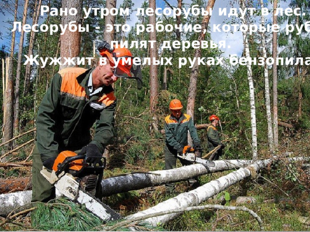 Рано утром лесорубы идут в лес. Лесорубы - это рабочие, которые рубят, пилят деревья. Жужжит в умелых руках бензопила.    