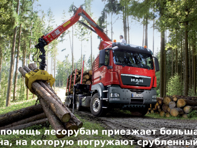 На помощь лесорубам приезжает большая машина, на которую погружают срубленный лес. 