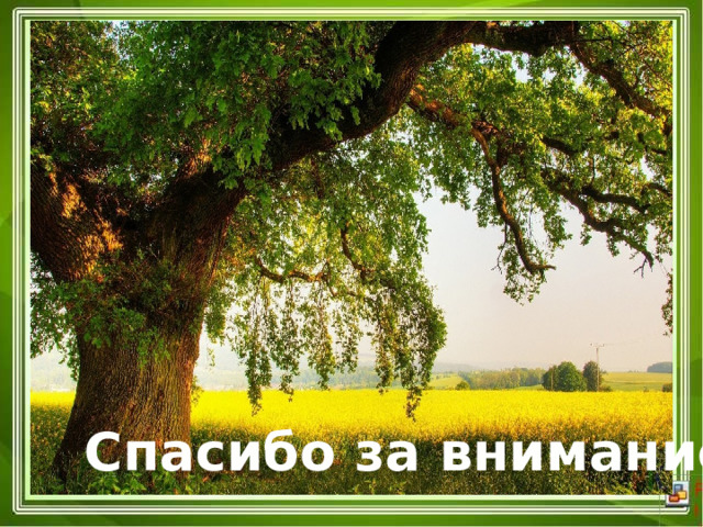 Спасибо за внимание 