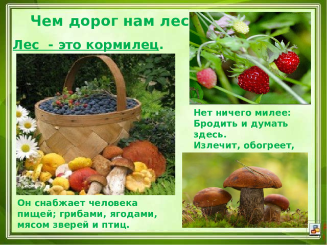  Чем дорог нам лес? Лес  - это кормилец . Нет ничего милее:  Бродить и думать здесь.  Излечит, обогреет,  Накормит русский лес. Он снабжает человека пищей; грибами, ягодами, мясом зверей и птиц.  