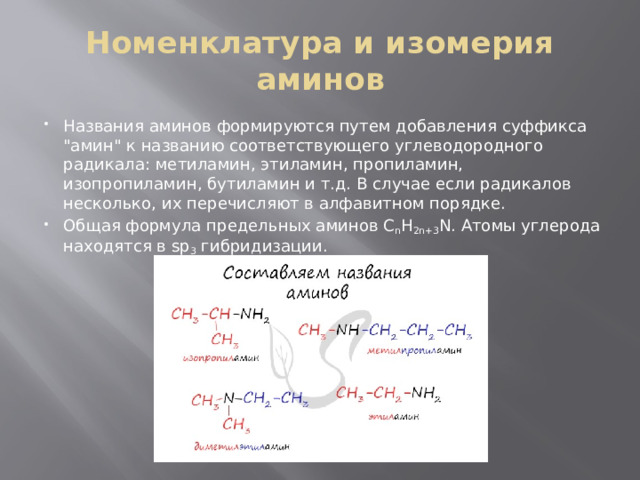 Номенклатура и изомерия аминов Названия аминов формируются путем добавления суффикса 