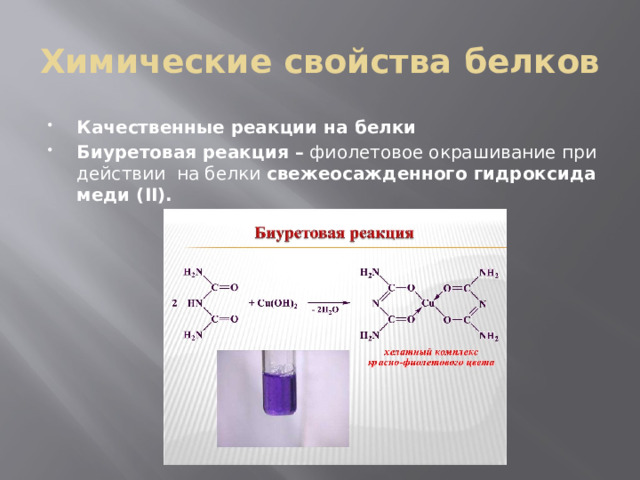 Химические свойства белков Качественные реакции на белки Биуретовая реакция –  фиолетовое окрашивание при действии  на белки  свежеосажденного гидроксида меди (II). 